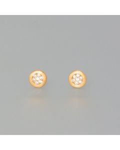 Ohrstecker Sternenglanz vergoldet, klein