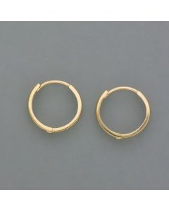 Zarte Creolen aus Gold