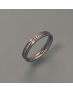 Titan-Ring mit 15 Brillanten