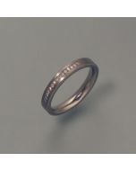 Titan-Ring mit 15 Brillanten